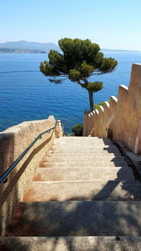 Front de mer - Emplacement prisé au calme - T2 moderne et entièrement climatisé - Tout à pieds